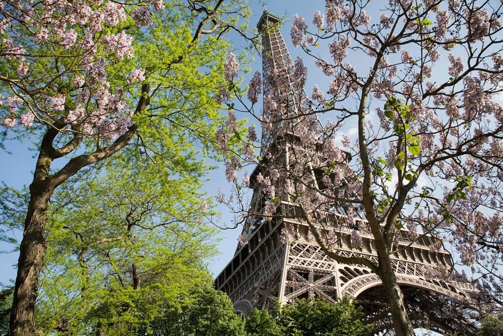 Switzerland & Paris — 7N/8D Group Tour 2026